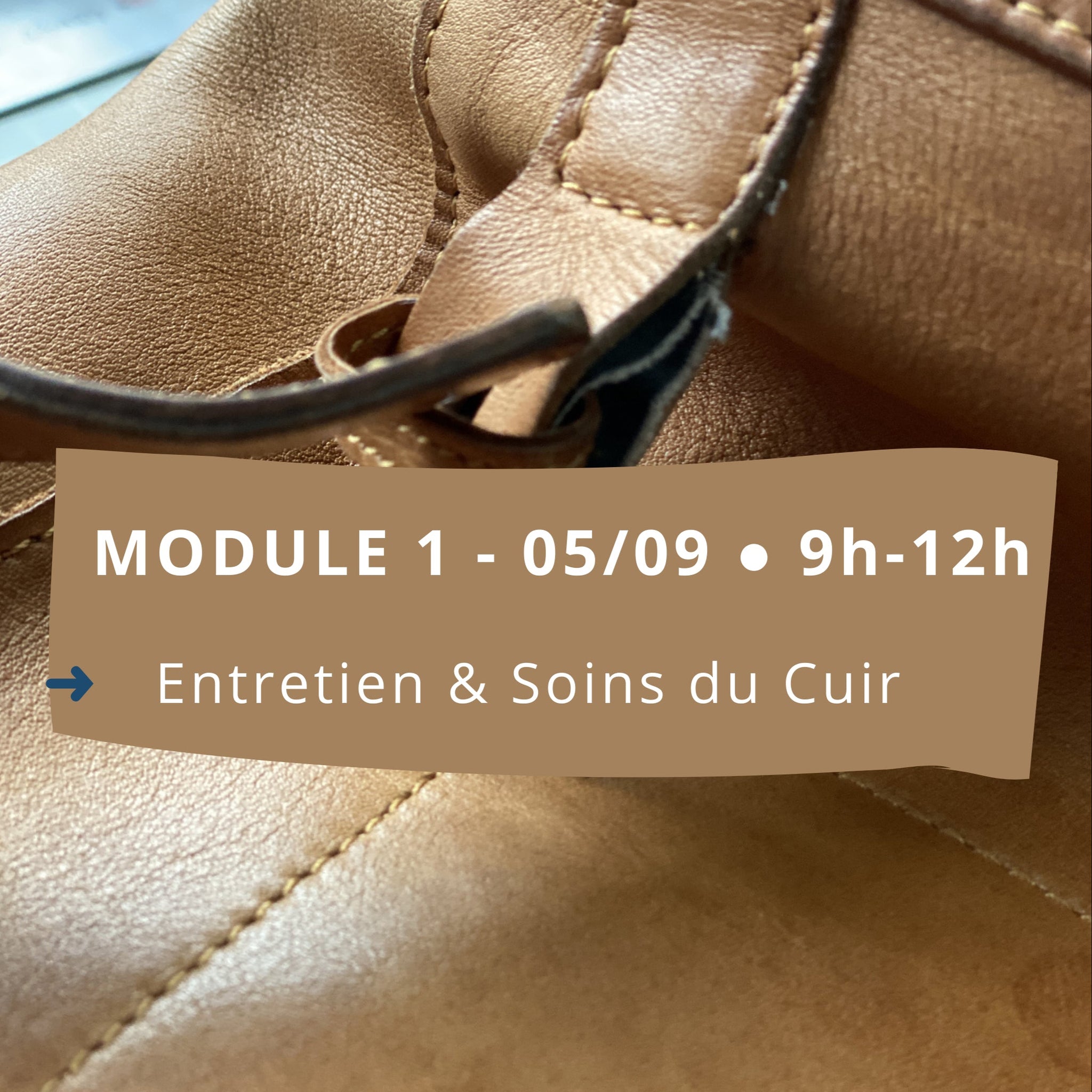 formation entretien et soins du cuir, artisanat d'art, colombes